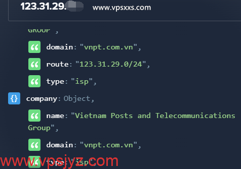 TotHost越南双ISP VPS ipinfo.io是否住宅IP检测